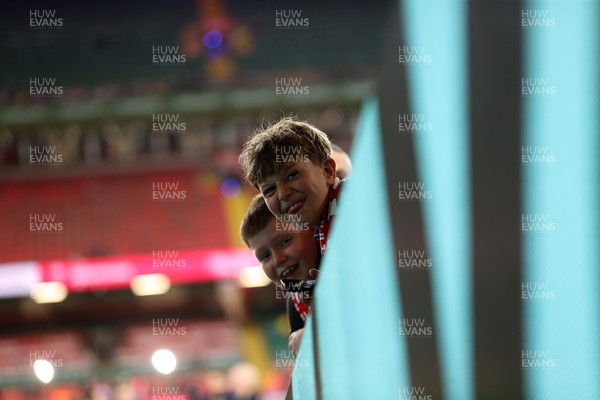 091125 - Wales v Argentina - Quilter Nations Series - Fans