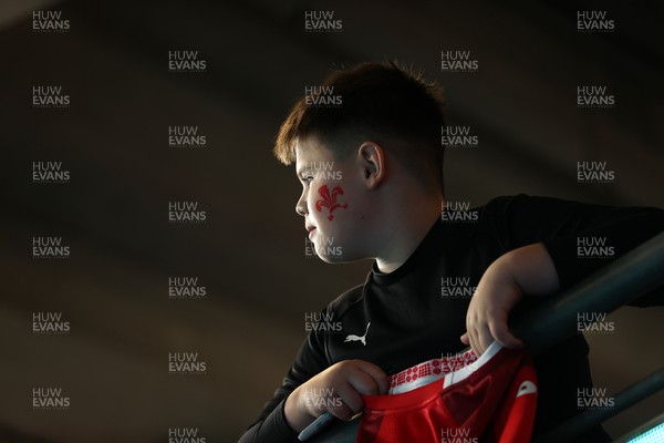 091125 - Wales v Argentina - Quilter Nations Series - Fans