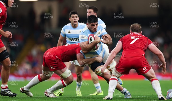 091125 - Wales v Argentina, Quilter Nations Series - Joaquin Oviedo of Argentina takes on Aaron Wainwright of Wales and Jac Morgan of Wales