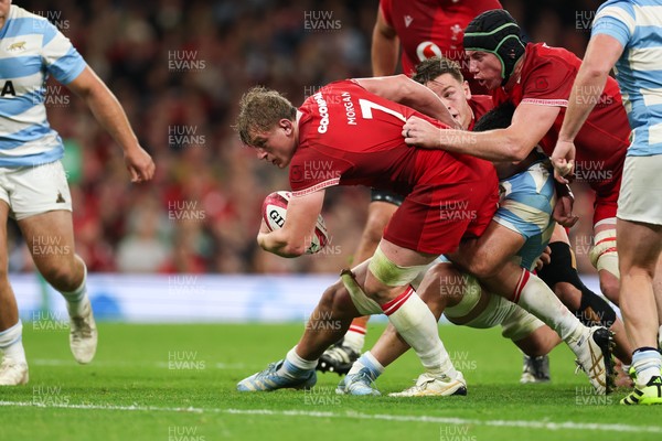 091125 - Wales v Argentina, Quilter Nations Series - Jac Morgan of Wales powers over to score try