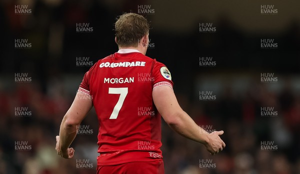 091125 - Wales v Argentina, Quilter Nations Series - Jac Morgan of Wales