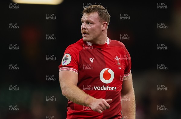 091125 - Wales v Argentina, Quilter Nations Series - Dewi Lake of Wales