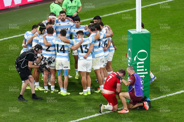 091125 - Wales v Argentina - Quilter Nations Series - Jac Morgan of Wales receives treatment after scoring a try