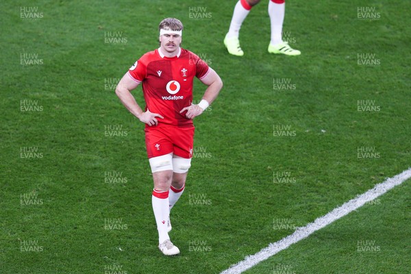 091125 - Wales v Argentina - Quilter Nations Series - Aaron Wainwright of Wales