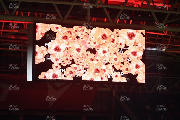 091125 - Wales v Argentina - Quilter Nations Series - A minutes silence is held before the match for remembrance Sunday