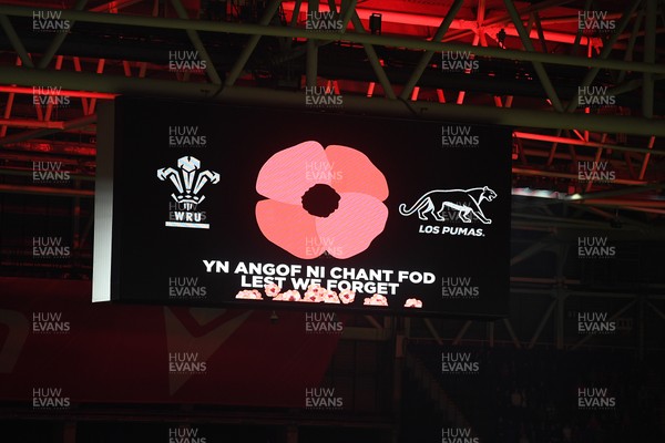 091125 - Wales v Argentina - Quilter Nations Series - A minutes silence is held before the match for remembrance Sunday