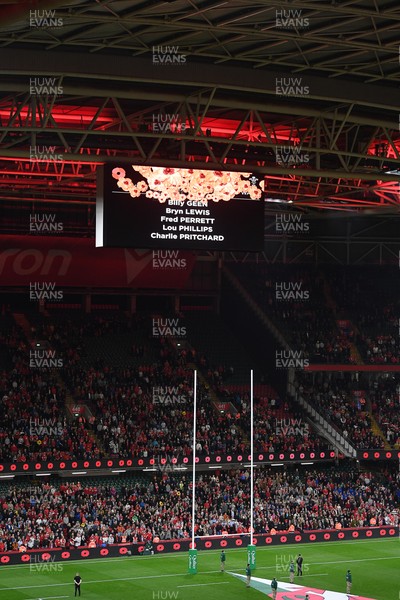 091125 - Wales v Argentina - Quilter Nations Series - A minutes silence is held before the match for remembrance Sunday