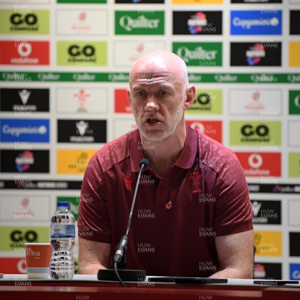 091125 - Wales v Argentina - Quilter Nations Series - Steve Tandy, Wales Head Coach speaks in a press conference after the match