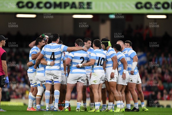 091125 - Wales v Argentina - Quilter Nations Series - Argentina huddle