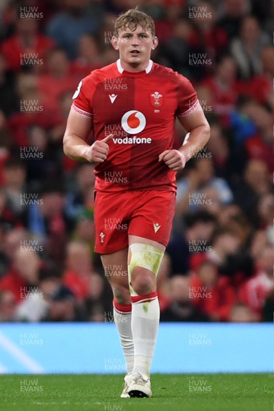 091125 - Wales v Argentina - Quilter Nations Series - Jac Morgan of Wales