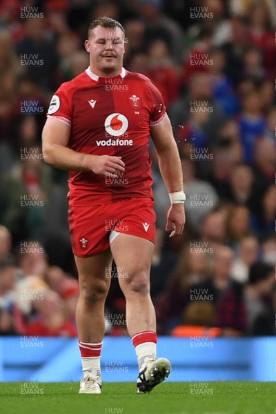 091125 - Wales v Argentina - Quilter Nations Series - Dewi Lake of Wales