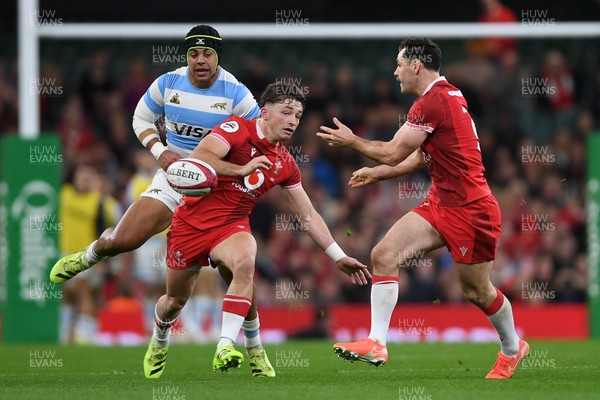 091125 - Wales v Argentina - Quilter Nations Series - Dan Edwards of Wales