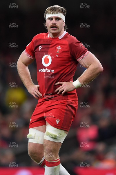 091125 - Wales v Argentina - Quilter Nations Series - Aaron Wainwright of Wales