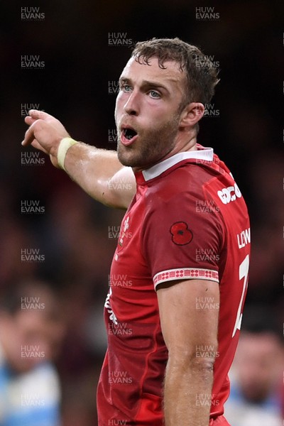 091125 - Wales v Argentina - Quilter Nations Series - Max Llewellyn of Wales