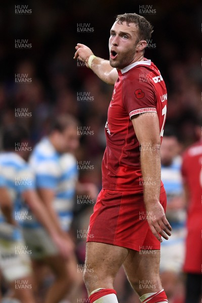 091125 - Wales v Argentina - Quilter Nations Series - Max Llewellyn of Wales