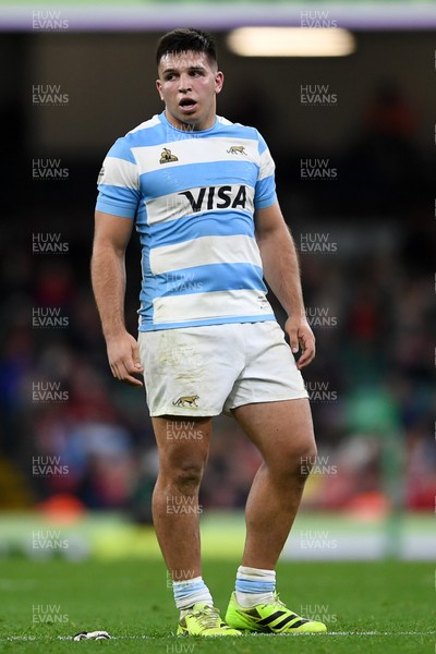 091125 - Wales v Argentina - Quilter Nations Series - Justo Piccardo of Argentina