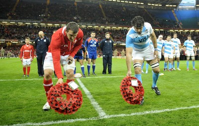 Wales v Argentina 101112