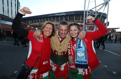 Wales v Argentina 121116