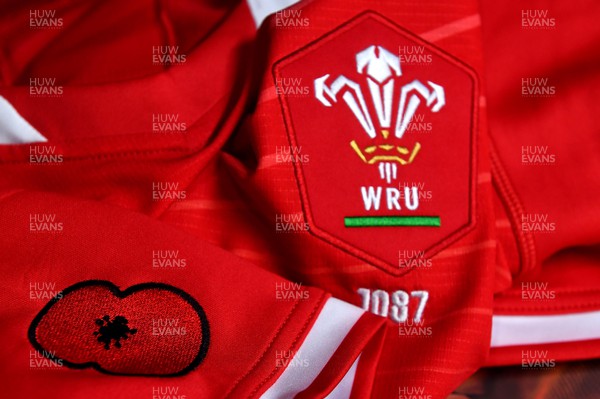 121122 - Wales v Argentina - Autumn Antions Series - Justin Tipuric of Wales jersey in the dressing room