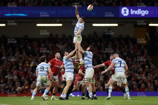 121122 - Wales v Argentina - Autumn Nations Series - Juan Martin Gonzalez of Argentina wins the line out