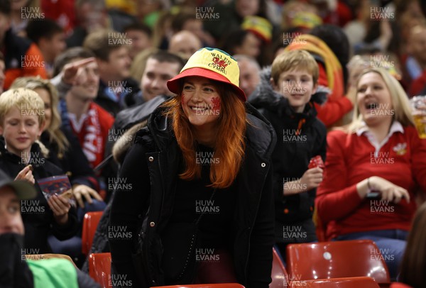 121122 - Wales v Argentina - Autumn Nations Series - Fans