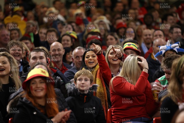 121122 - Wales v Argentina - Autumn Nations Series - Fans