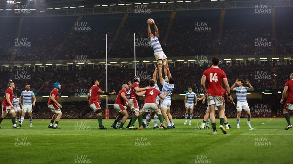 121122 - Wales v Argentina, Autumn Nations Series - Juan Martin Gonzalez of Argentina takes the line out ball