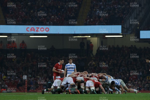 121122 - Wales v Argentina - Autumn Nations Series - Tomos Williams of Wales prepares to put the ball into scrum