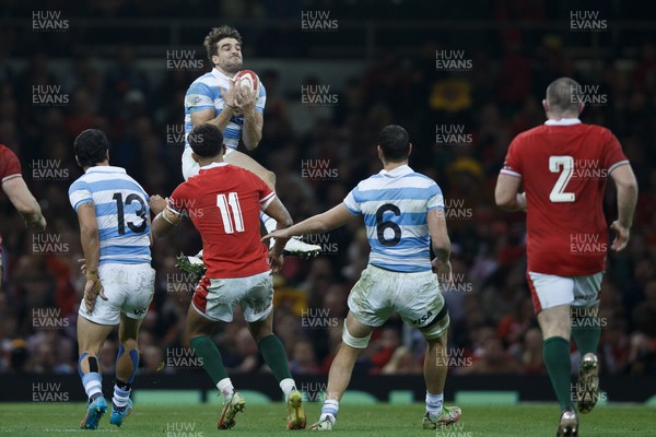 121122 - Wales v Argentina - Autumn Nations Series - Juan Cruz Mallia of Argentina takes a high ball
