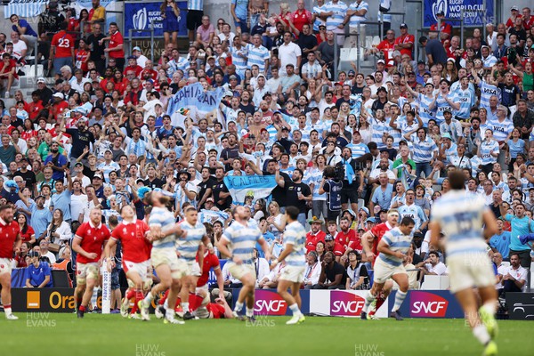 141023 - Wales v Argentina - Rugby World Cup Quarter Final - Argentina fans