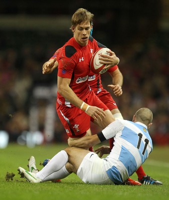 Wales v Argentina 161113