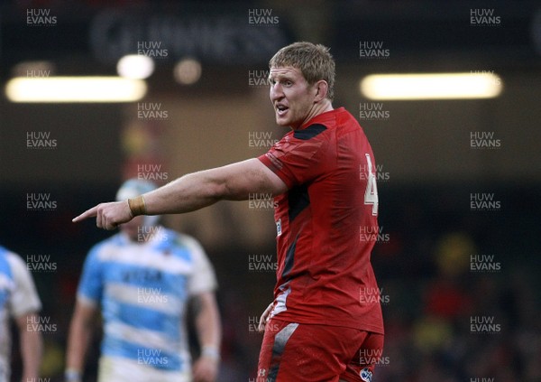 161113 - Wales v Argentina - Dove Men+Care Series - Wales' Bradley Davies directs things (c) Huw Evans Agency