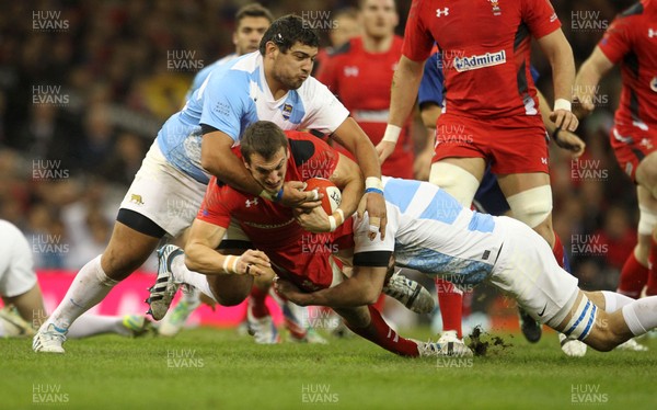 161113 - Wales v Argentina - Dove Men Series -  Sam Warburton of Wales is tackled by Maximiliano Bustos of Argentina and Julio Farias Cabello of Argentina