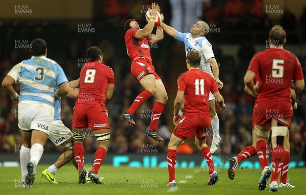 161113 - Wales v Argentina - Dove Men Series - Leigh Halfpenny of Wales goes up for the ball