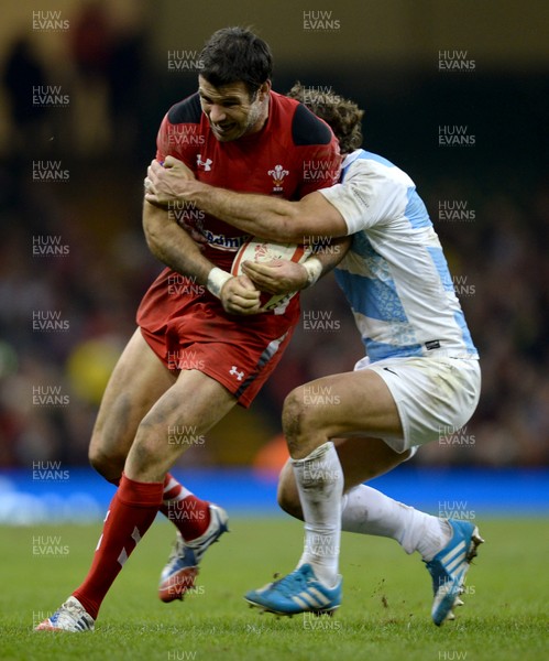 161113 - Wales v Argentina - Dove Men Series 2013 -Mike Phillips of Wales takes on Santiago Fernandex of Argentina