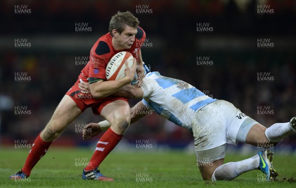 161113 - Wales v Argentina - Dove Men Series 2013 -Dan Biggar of Wales is tackled by Juan Manuel Leguizamon of Argentina