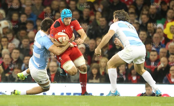 161113 - Wales v Argentina - Dove Men Series - Justin Tipuric