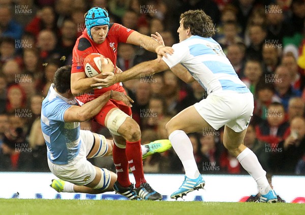 161113 - Wales v Argentina - Dove Men Series - Justin Tipuric