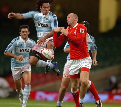 Wales v Argentina 180807
