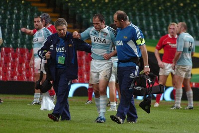 18.08.07 - Wales v Argentina - Invesco Perpetual 2007 Summer Series - Argentina's Felipe Contepomi is helped from the field 