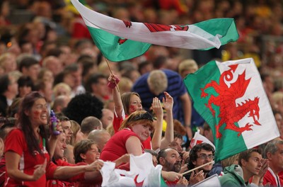 20.08.11 Wales v Argentina. Fans. 