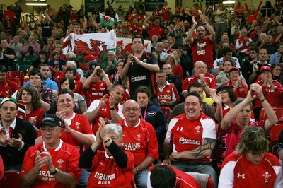 20.08.11 Wales v Argentina. Fans. 