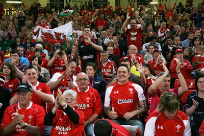20.08.11 Wales v Argentina. Fans. 