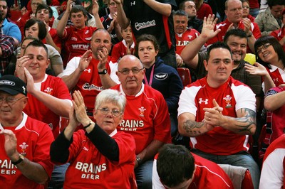 20.08.11 Wales v Argentina. Fans. 