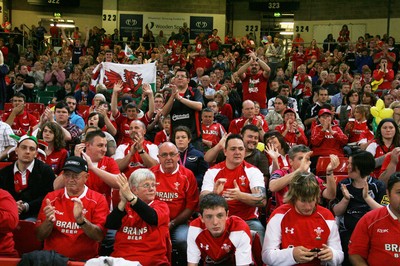 20.08.11 Wales v Argentina. Fans. 