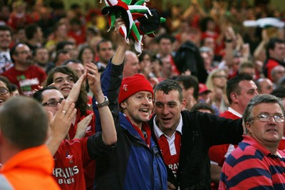 20.08.11 Wales v Argentina. Fans. 
