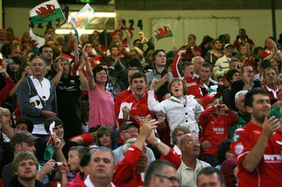 20.08.11 Wales v Argentina. Fans. 