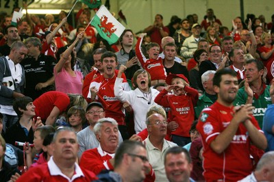 20.08.11 Wales v Argentina. Fans. 