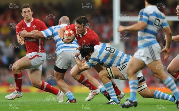 20.08.11 - Wales v Argentina - RWC Warm-Up Match - Tavis Knoyle of Wales is tackled by Juan Martin Fernandez Lobbe of Argentina. 