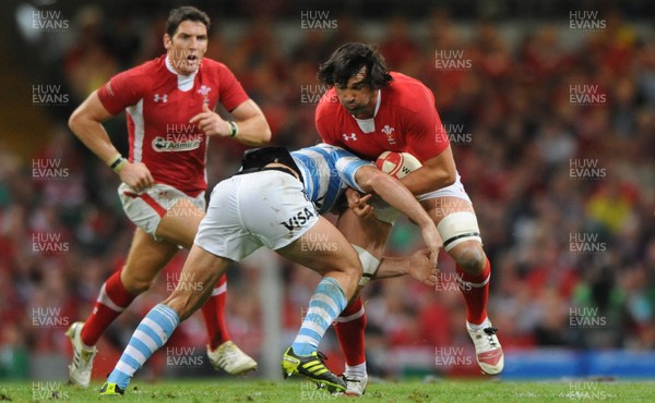 20.08.11 - Wales v Argentina - RWC Warm-Up Match - Jonathan Thomas of Wales. 